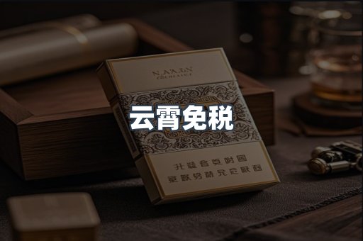 云霄免税